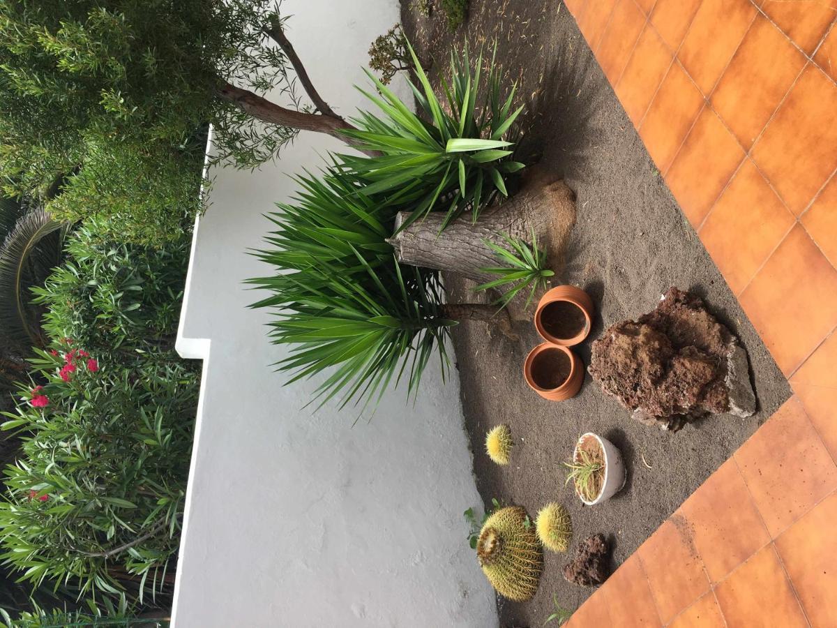 Apartamento Con Jardin Y Piscina B Puerto de la Cruz  Buitenkant foto